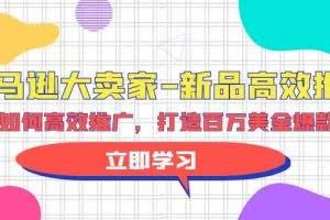 （9945期）亚马逊 大卖家-新品高效推广，分享如何高效推广，打造百万美金爆款单品