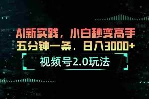（10888期）视频号2.0玩法 AI新实践，小白秒变高手五分钟一条，日入3000+