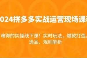 2024拼多多实战运营现场课，实时玩法，爆款打造，选品、规则解析，难得的实操线下课！
