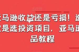 亚马逊收益还是亏损！选品就是选投资项目，亚马逊选品教程
