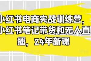 小红书电商实战训练营，小红书笔记带货和无人直播，24年新课