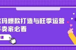 沃尔玛爆款打造与旺季运营，新手卖家必看（11节视频课）