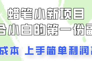 蜡笔小新项目拆解，0投入，0成本，小白一个月也能多赚3000+