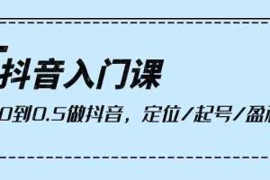 抖音入门课，从0到1做抖音，定位/起号/盈利（9节课）