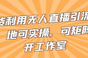 不卖货利用无人直播引流视频教程，地可实操，可矩阵，可开工作室【揭秘】