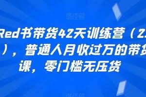 小Red书带货42天训练营（2.0版），普通人月收过万的带货课，零门槛无压货