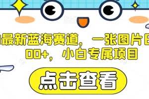 AI最新蓝海赛道，一张图片日入300+，小白专属项目【揭秘】