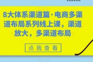 8大体系渠道篇·电商多渠道布局系列线上课，渠道放大，多渠道布局