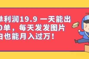一单利润19.9一天能出100单，每天发发图片，小白也能月入过万【揭秘】