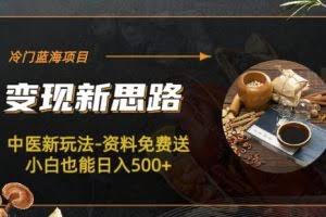 冷门蓝海项目-中医新玩法-资料免费送小白也能日入500+【揭秘】