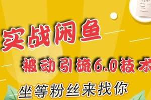 狼叔实战闲鱼被动引流6.0技术，坐等粉丝来找你，打造赚钱的ip(16节课+话术指导)
