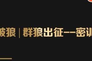 群狼出征密训营第3期：万能引流的底层逻辑公式首度公开解密！——流量爆破必修课