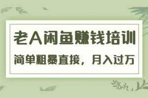老A《闲鱼赚钱培训》简单粗暴直接，月入过万真正的闲鱼战术实课（51节课）