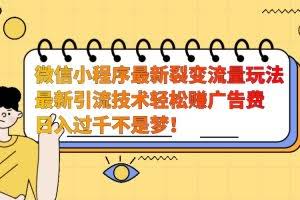 微信小程序最新裂变流量玩法，时间自由收益高轻松赚广告费，日入过千不是梦！