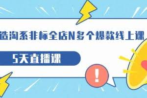 打造-淘系-非标全店N多个爆款线上课，5天直播课（19期）