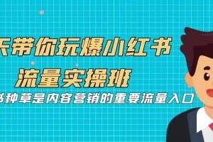 5天带你玩爆小红书流量实操班，小红书种草是内容营销的重要流量入口