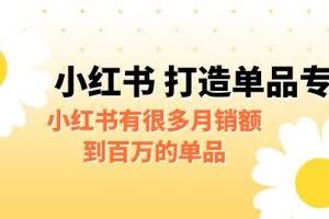某公众号付费文章《小红书 打造单品专家》小红书有很多月销额到百万的单品