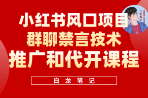 小红书风口项目日入300+，小红书群聊禁言技术代开项目，适合新手操作