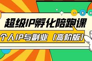 超级IP孵化陪跑课：个人IP与副业（高阶版）41节课