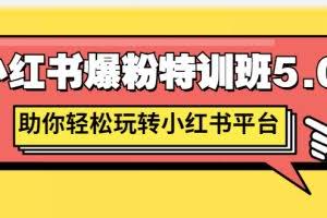 小红书爆粉特训班5.0，助你轻松玩转小红书平台价值1380元