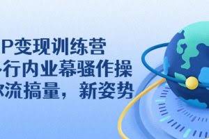 IP变现训练营：N多行内业幕骚作操，教你流搞量，新姿势！