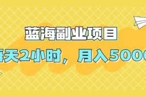 蓝海副业项目，每天2小时，月入5000，附详细操作流程