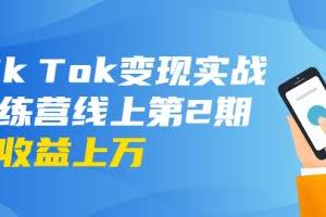 龟课·Tik Tok变现实战训练营线上第2期：日入上百+美刀 月收益上万不成问题