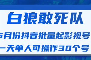 白狼敢死队6月份最新抖音短视频批量起影视号（一天单人可操作30个号）视频课程