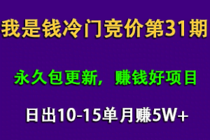 我是钱第31期网授课程网授课百度冷门竞价，日出10-15单，月赚5w+（完结）