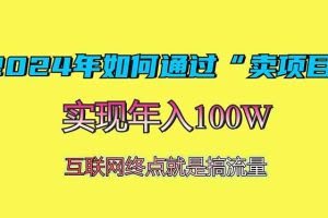 （13419期）2024年如何通过“卖项目”赚取100W：最值得尝试的盈利模式
