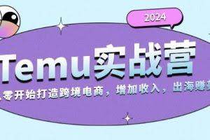 （13266期）2024Temu实战营：从零开始打造跨境电商，增加收入，出海赚美金