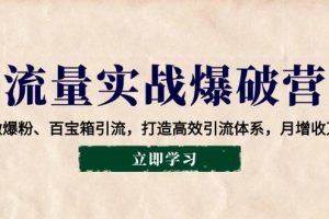 （14039期）流量实战爆破营：企微爆粉、百宝箱引流，打造高效引流体系，月增收万元