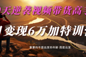 2025视频带货30天逆袭视频带货高手，单月变现6万加特训营