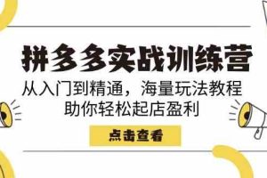 拼多多实战训练营，从入门到精通，海量玩法教程，助你轻松起店盈利