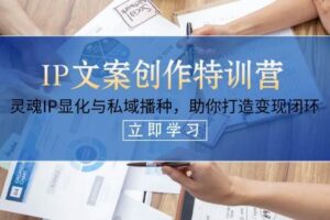 IP文案创作特训营，灵魂IP显化与私域播种，助你打造变现闭环（14节课）