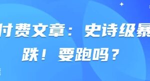 付费文章：史诗级暴跌！要跑吗？