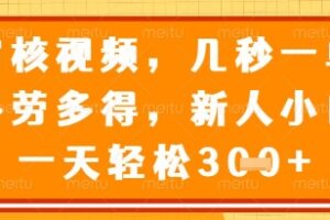 视频审核员，几秒一单，不限时间，不限地点，多做多得，新人小白一天轻松几张+【揭秘】