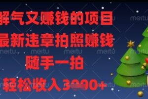 解气又挣钱的项目，最新违章拍照挣钱，随手一拍，轻松收入多张【揭秘】