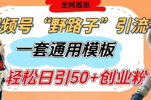 视频号“野路子”玩法，评论区疯狂截流，一套模板单日单号引流50+创业粉