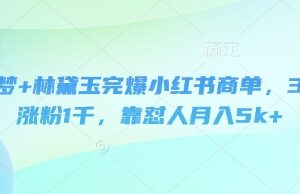 即梦+林黛玉完爆小红书商单，3天涨粉1千，靠怼人月入5k+