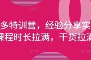 拼多多特训营，经验分享实操，课程时长拉满，干货拉满(更新25年4月)