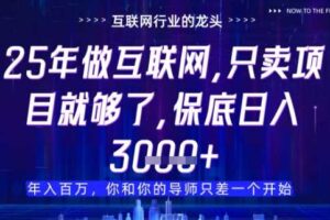 什么！25年你还在找项目做？风口早就变了，卖项目才是稳挣不赔【揭秘】