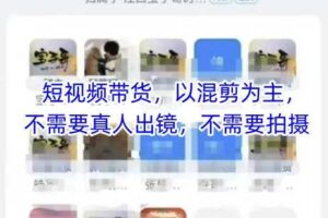 宝子哥头部团队短视频带货，以混剪为主，不需要真人出镜，不需要拍摄
