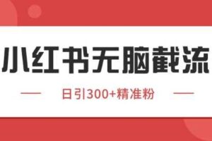 小红书截流同行客源，独家野路子获客玩法 日引200+暴力获客【揭秘】