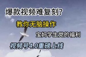 视频号4.0重磅上线，爆款视频难复刻？教你无脑操作宝妈学生党的福利【揭秘】