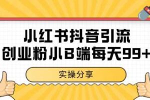 小红书抖音创业粉，小B端粉自热，日引99+的一个玩法【揭秘】