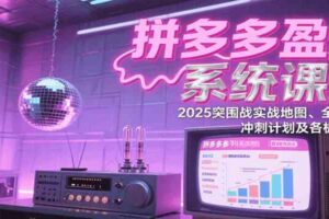 拼多多盈利系统课：2025突围战实战地图、全新玩法、冲刺计划及各板块技巧（更新7月）