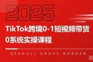 TikTok跨境0-1短视频带货，系统拆解TikTok跨境带货全链路，实现跨境可持续盈利