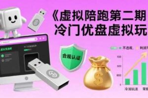 虚拟陪跑第二期，冷门优盘虚拟玩法，不违规，利润可观