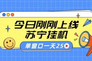 苏宁全自动采集挂G项目 稳定可批量 单窗口收益30+ 附教程【揭秘】